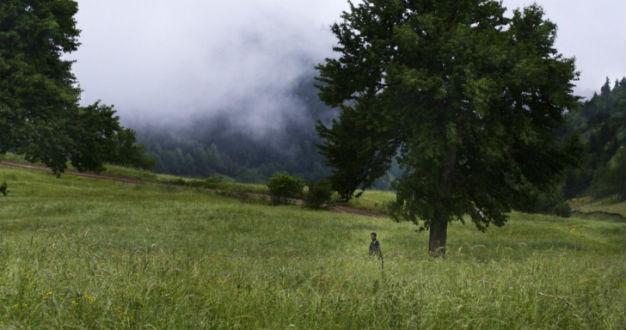 ‘Memories of the Wind:’ What are we to do with the dead