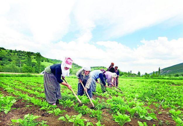 Turkey worst in OECD for unregistered economy: Study