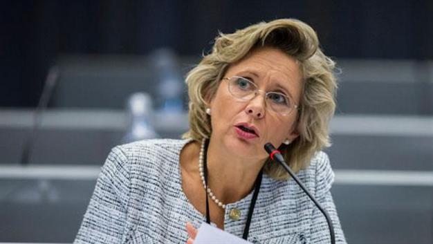 Pressure on media freedom raises concerns: OSCE election monitors