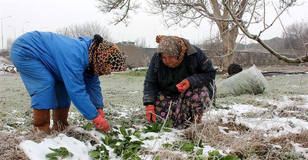 Turkish farmers happy with snowfall