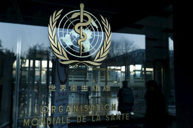 Zika virus seen spreading to nearly all countries in the Americas: WHO