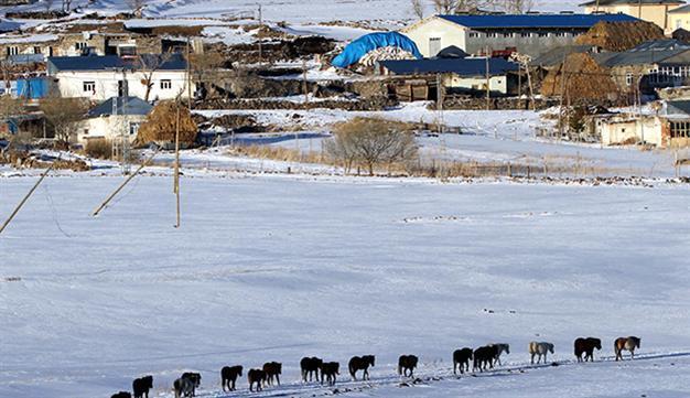 IFAD-supported investment ‘improves quality of life of rural poor in Turkey’