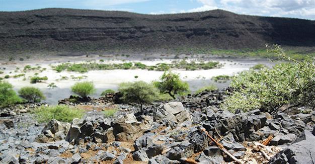 Millions in Ethiopia facing worst drought for decades: UN
