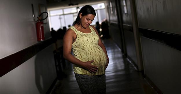 Turkey not at risk for Zika, infectious disease expert says