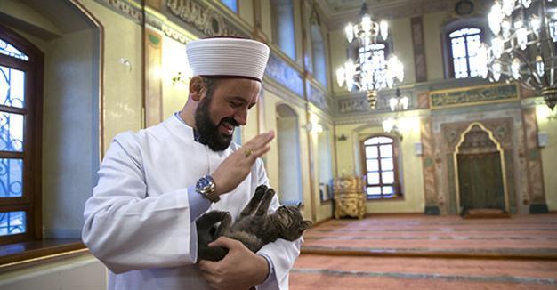 Stray cats make their home in historic Istanbul mosque