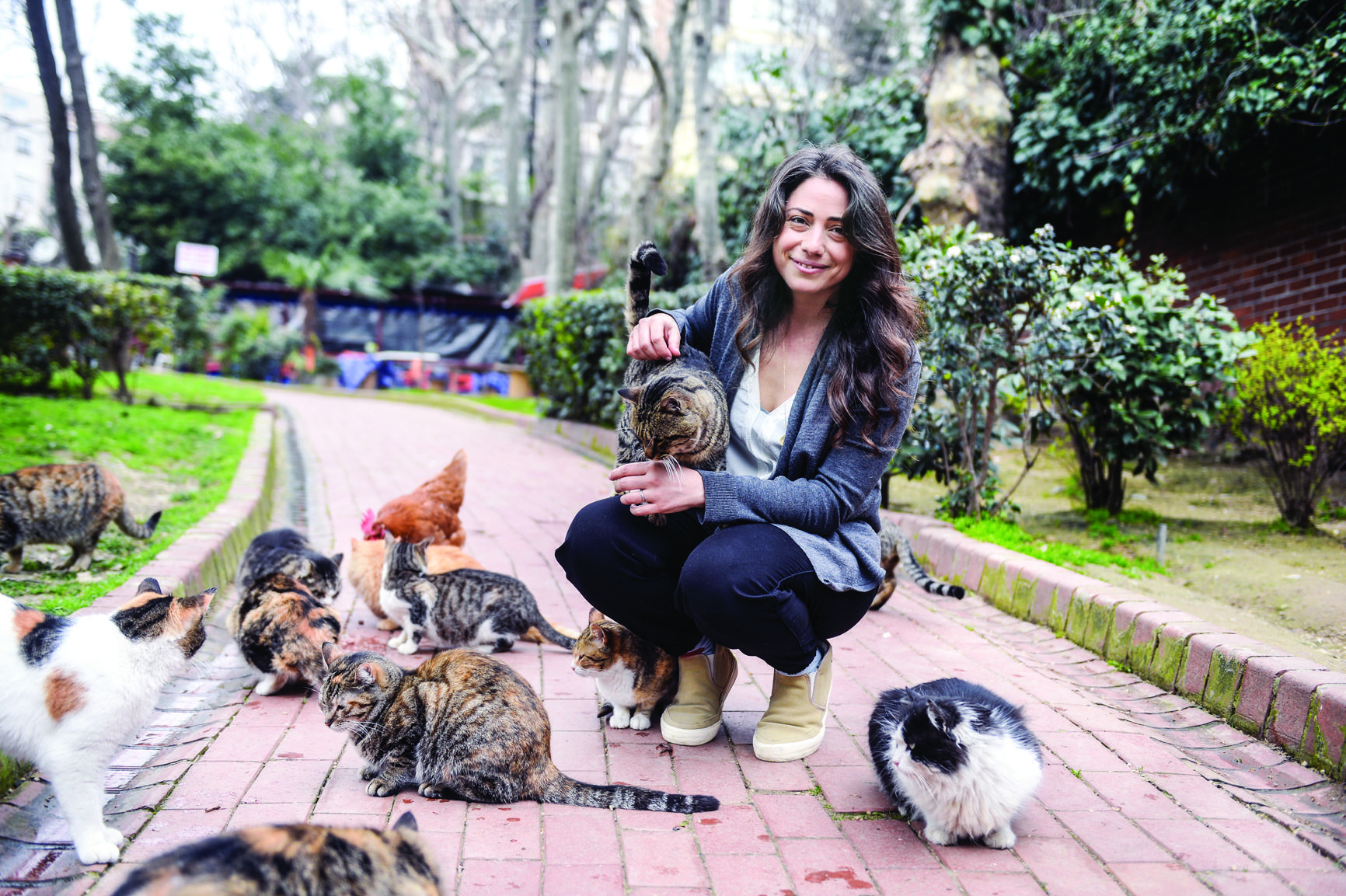 The cat’s meow: New documentary takes on Istanbul’s felines