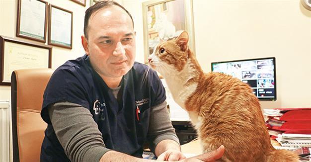 ‘Umut’ becomes mascot of cat hospital in central Turkey