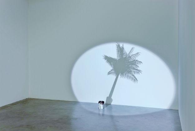 Shadow shows on the walls of an art gallery
