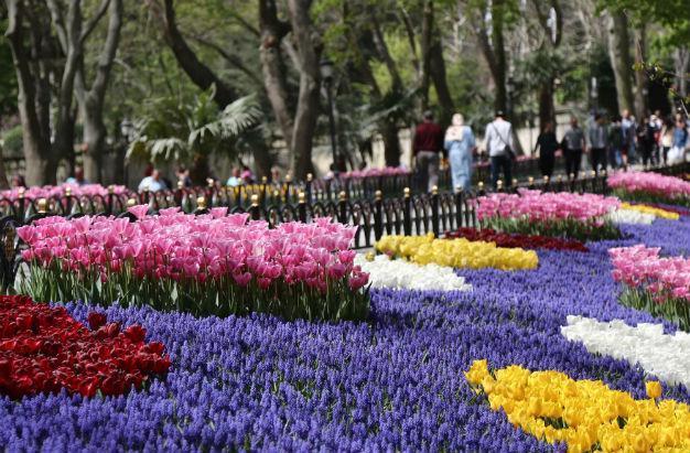 Tulip time for Istanbul as festival opens in Emirgan Forest