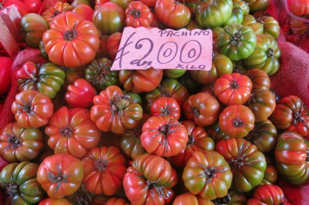 Who picks your tomatoes