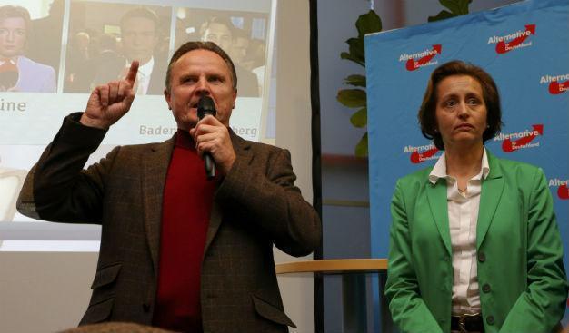 CoE concerned over Islamophobic remarks by German anti-immigration party