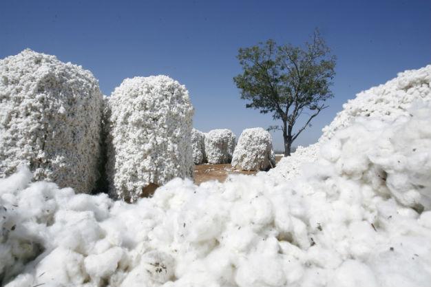 Turkish duty on US cotton to hurt its own textile exporters: Association