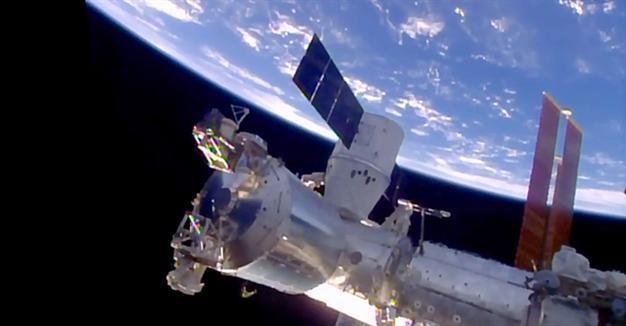Mice in space showed liver damage after two weeks