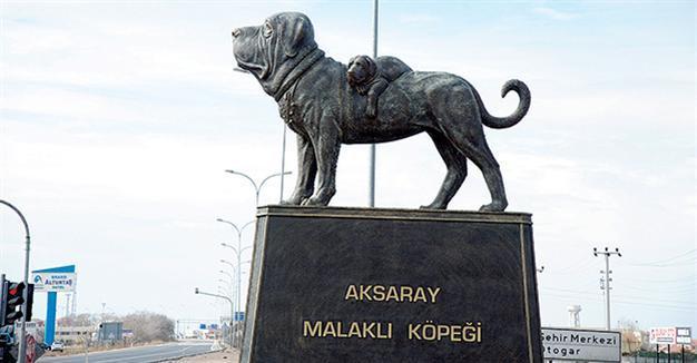‘Anatolian lion’ receives promotion