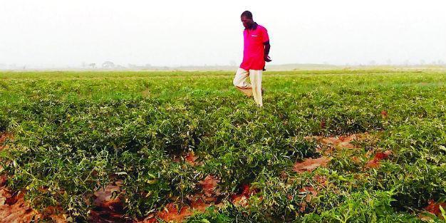 Women forced to trade sex for land rights, global research finds