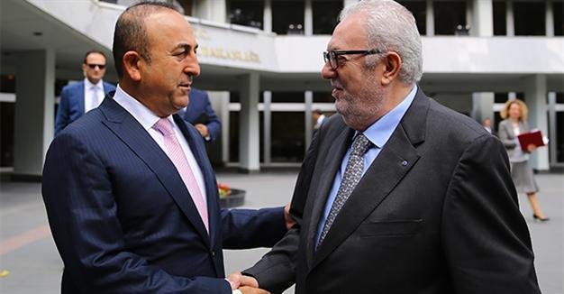Turkish FM addresses terrorism, migration, refugee crisis with PACE president