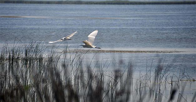 Bird sanctuary in Turkey’s north enters World Heritage Provisional List