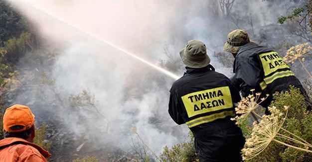 Ankara: Greek Cyprus trying to score political points over fire