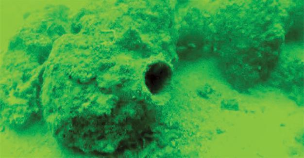 Underwater ancient discovery off Marmara Sea
