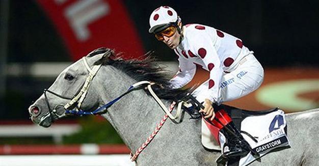Graystorm wins Gazi Derby