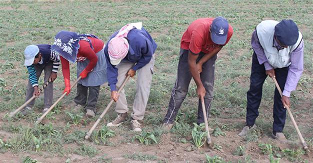 At least 200 workers died of work related reasons in June: Report