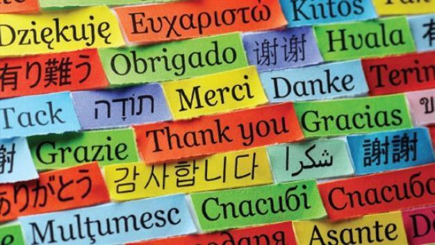 Turkey’s foreign language courses ‘insufficient,’ says Boğaziçi University professor