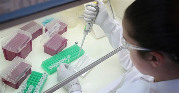 Canada to hold first Zika vaccine test on humans