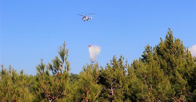 Forest fire in Turkey’s west contained: Official