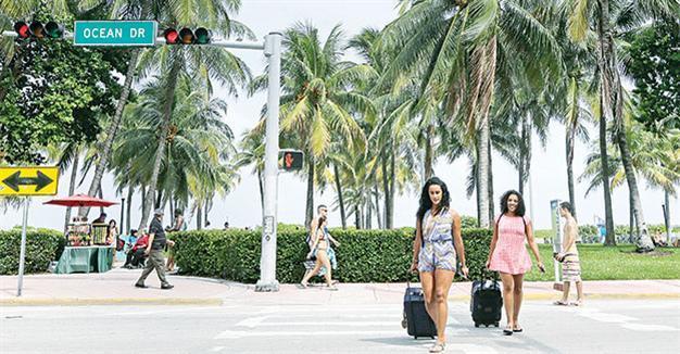 Florida finds Zika in local mosquitoes, bromeliads blamed