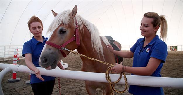 Diyarbakır Hippodrome provides women with jobs