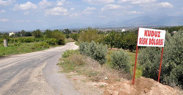 Town quarantined over rabies concerns in Turkey’s south