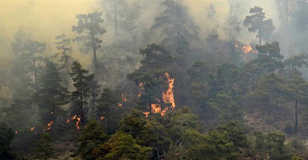 Greek Cypriots accept Turkish help to fight forest fire