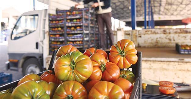 Association asks for delay in farmers’ debts as Russian crisis, natural disasters hit sector