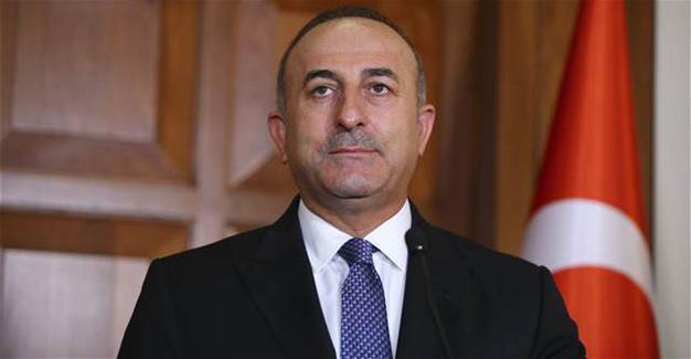 Turkey ready to give all kinds of support in Mosul operation: Foreign minister