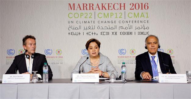 UN talks get down to business over climate deal