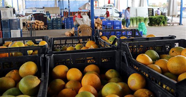 Turkey’s annual inflation eases to 7 percent after food prices decline