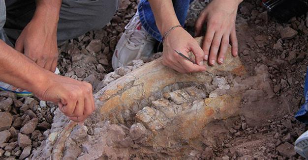 Fossils show Anatolian city was once like Africa