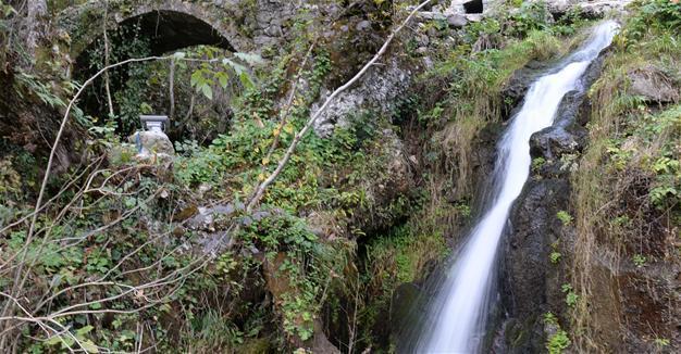 Living cultural treasure brings in visitors in Giresun