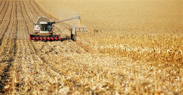 Turkey, Russia to discuss trade on agricultural products in Sochi
