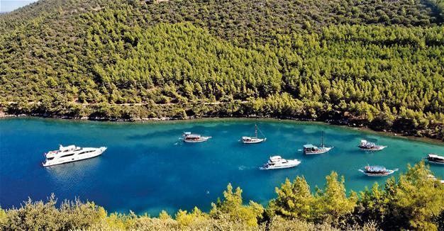 Turkey’s protected sites gets reviewed, introduces new categorization