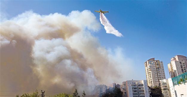 Foreign firefighters help Israel combat wildfire plague