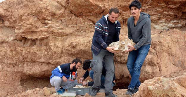 Ancient fossils to be displayed in Cappadocia
