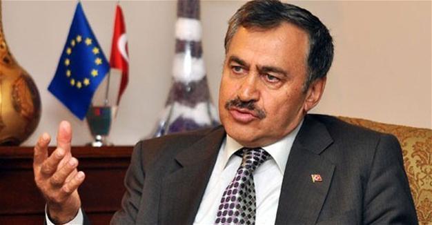 Gülen will die in US and be buried in Jewish cemetery: Turkish forestry minister