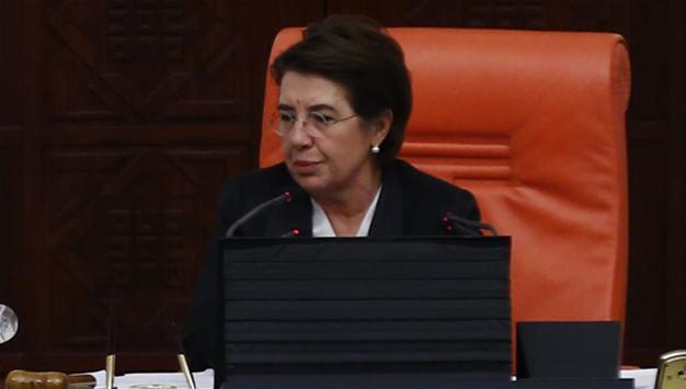 German envoy visits Turkish deputy speaker, expresses sorrow over mistreatment by German police