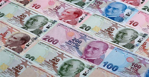 Turkish watchdog head backs trade in local currencies
