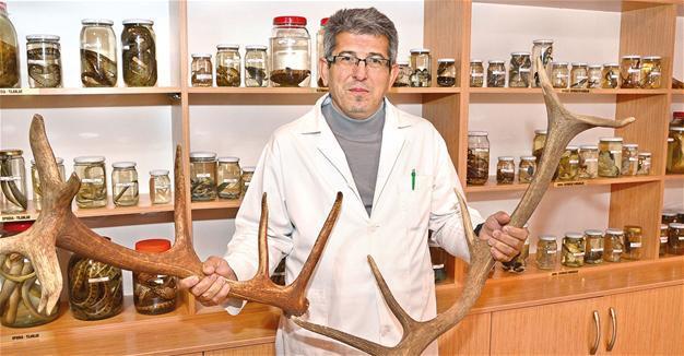 Zoology Museum displays animals, serve academics