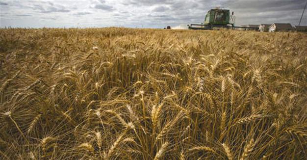 Russia drops fruit, vegetable ban on Egypt