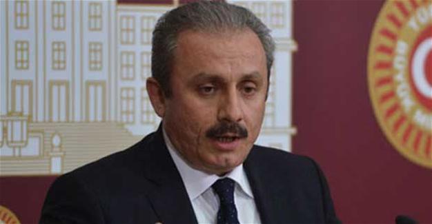 New political system ensures diversity between president and parliament: AKP deputy