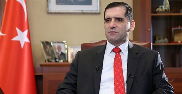 TANAP pipeline project ahead of schedule: Turkish envoy