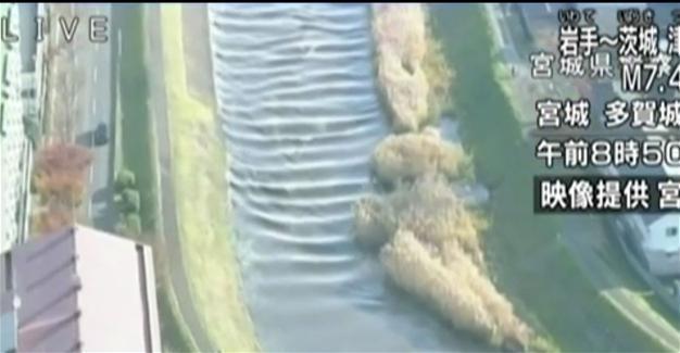 Tsunami hits Japan after strong quake near Fukushima disaster site